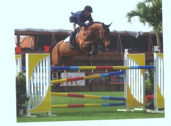 CSI 4* Charlotte Jumper Classic